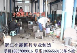 塑料兒童電瓶車(chē)模具 兒童電瓶車(chē)塑膠模具 浙江模具城電話供應(yīng)商 臺(tái)州市黃巖小霞模具廠